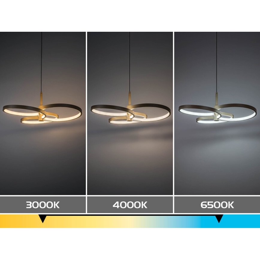Rabalux - LED-dimmbare Pendelleuchte an Kabel LED/50W/230V 3000-6500K + Fernbedienung