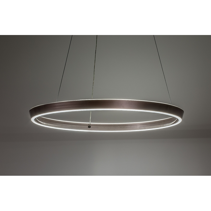 Rabalux - LED dimmbare Pendelleuchte am Kabel LED/70W/230V 3000-6500K + Fernbedienung