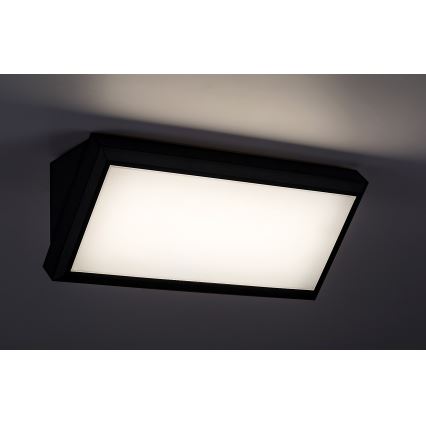 Rabalux - LED Außenwandleuchte LED/12W/230V IP54
