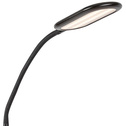 Rabalux - Dimmbare LED-Stehlampe mit Touch-Funktion LED/10W/230V 3000-6000K schwarz