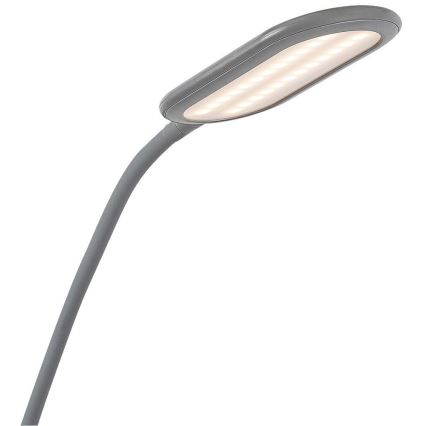 Rabalux - Dimmbare LED-Stehlampe mit Touch-Funktion LED/10W/230V 3000-6000K grau