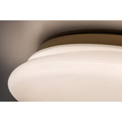 Rabalux - LED-Deckenleuchte für das Badezimmer, LED/24W/230V, IP44, Ø 41 cm