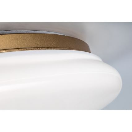 Rabalux - LED-Deckenleuchte für das Badezimmer, LED/24W/230V, IP44, Ø 41 cm