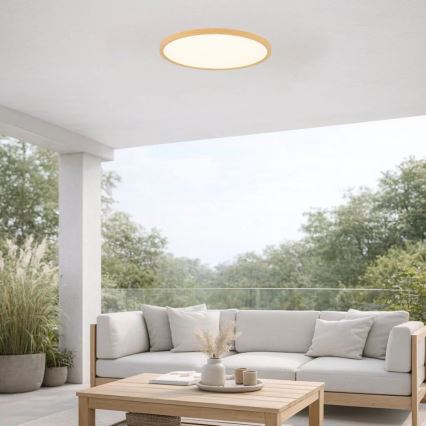Rabalux - LED-Deckenleuchte für Badezimmer, LED/24W/230V, 3000/4000/6000K, Ø 40 cm, IP44, beige