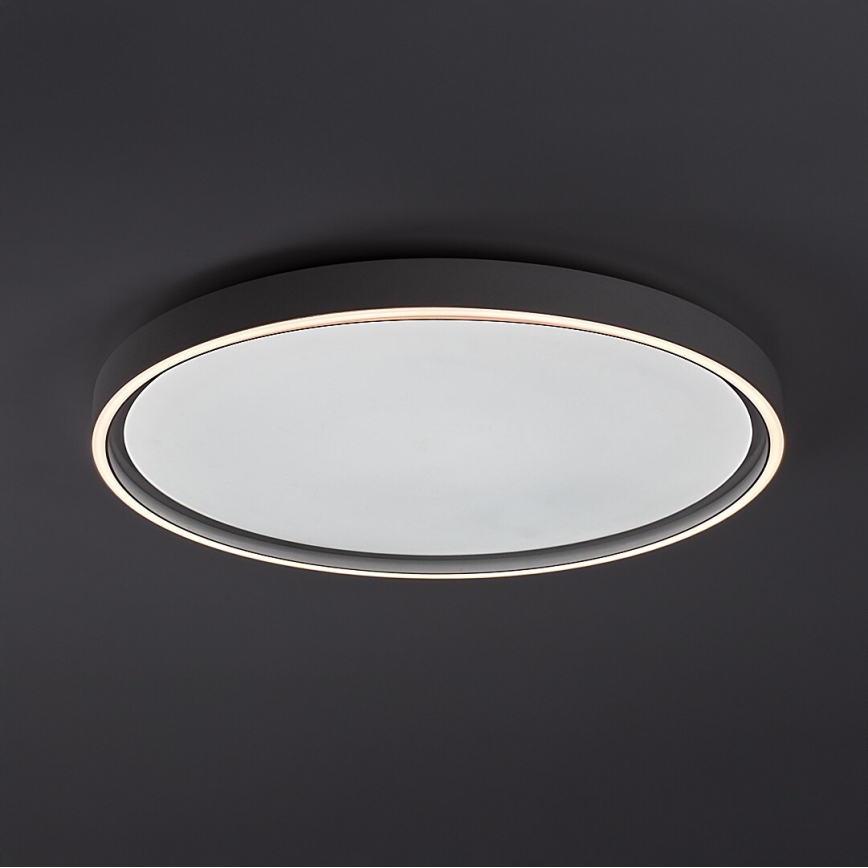 Rabalux - Dimmbare LED-Deckenleuchte LED/54W/230V IP40 3000-6500K Ø 52 cm + Fernbedienung