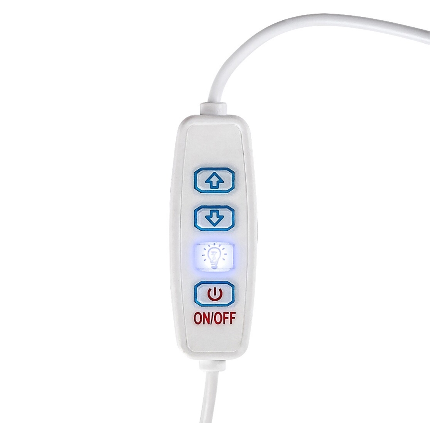 Rabalux - LED dimmbare Tischlampe LED/1,2W/5V 3000K Buche