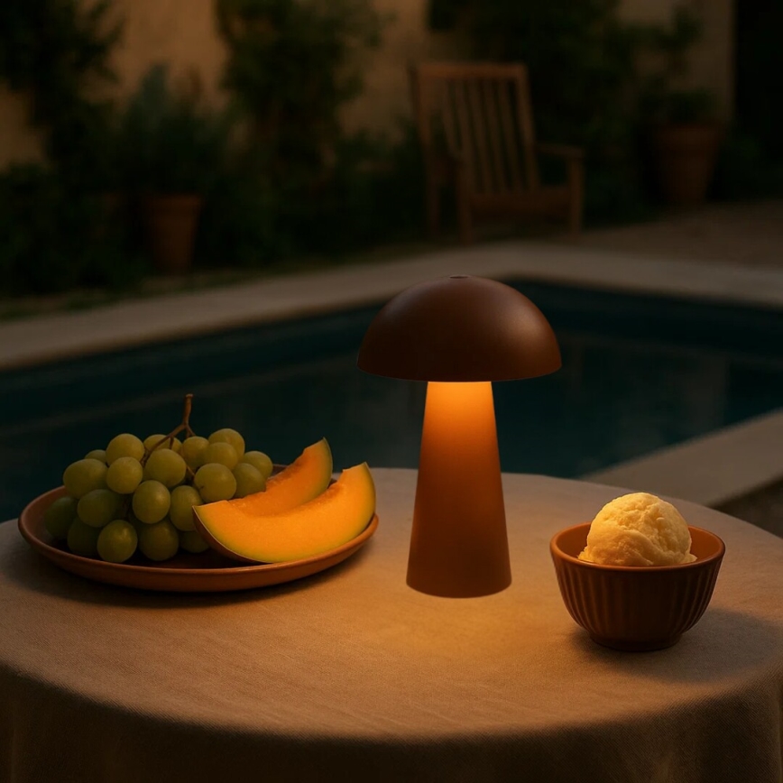 Rabalux - LED-Außenlampe, dimmbar, mit Touch-Bedienung, wiederaufladbar LED/1,5W/5V IP44 1200 mAh USB braun