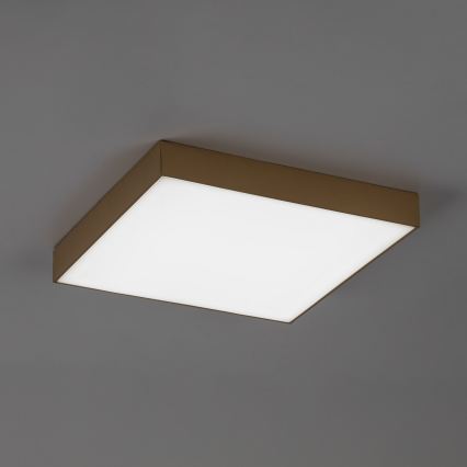 Rabalux - LED Badezimmer-Deckenleuchte LED/24W/230V 2800/4000/6000K IP44