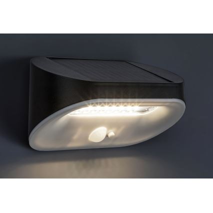 Rabalux – LED-Solarleuchte mit Sensor LED/3,2W/3,7V IP44