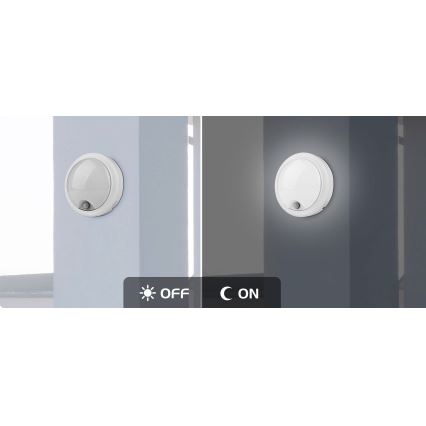 Rabalux - LED Außenwandleuchte mit Sensor LED/15W/230V IP54