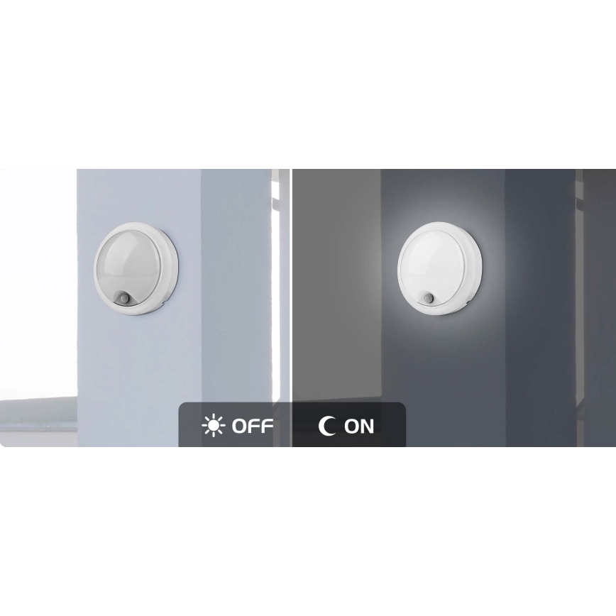 Rabalux - LED Außenwandleuchte mit Sensor LED/15W/230V IP54