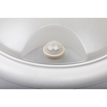 Rabalux - LED Außenwandleuchte mit Sensor LED/15W/230V IP54