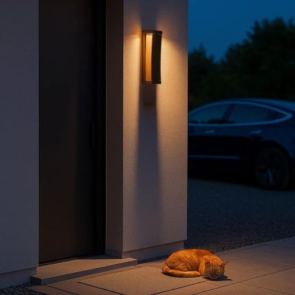 Rabalux - LED-Außenwandleuchte LED/13W/230V IP65 braun