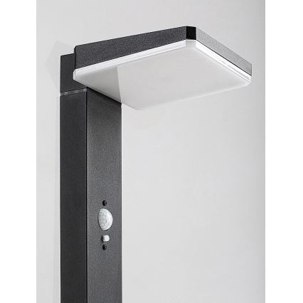 Rabalux - dimmbare LED-Solar-Außenleuchte mit Sensor LED/4,4W/3,7V IP54 Anthrazit 2200 mAh