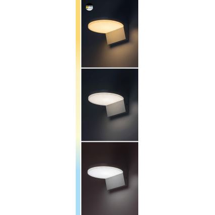 Rabalux - LED Außenwandleuchte LED/9W/230V 2700/4000/6500K IP54 schwarz