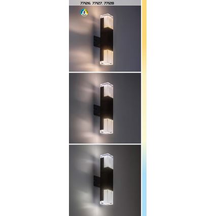 Rabalux - LED Außenwandleuchte LED/7W/230V 2700/4000/6000K IP54