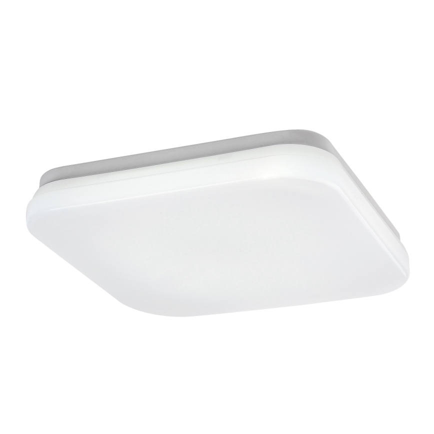 Rabalux - LED-Deckenleuchte für Badezimmer LED/12W/230V 3000/4000/6000K IP44