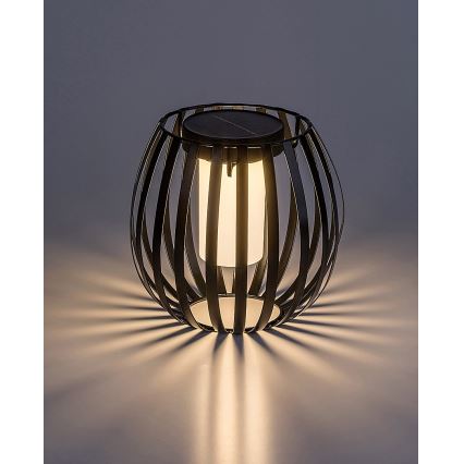 Rabalux - LED-Solarleuchte LED/1W/1,2V 300mAh IP44