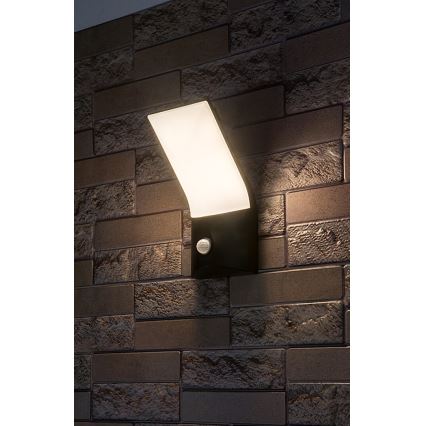 Rabalux - LED Außenwandleuchte mit Sensor LED/10W/230V IP54
