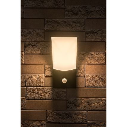 Rabalux - LED Außenwandleuchte mit Sensor LED/10W/230V IP54