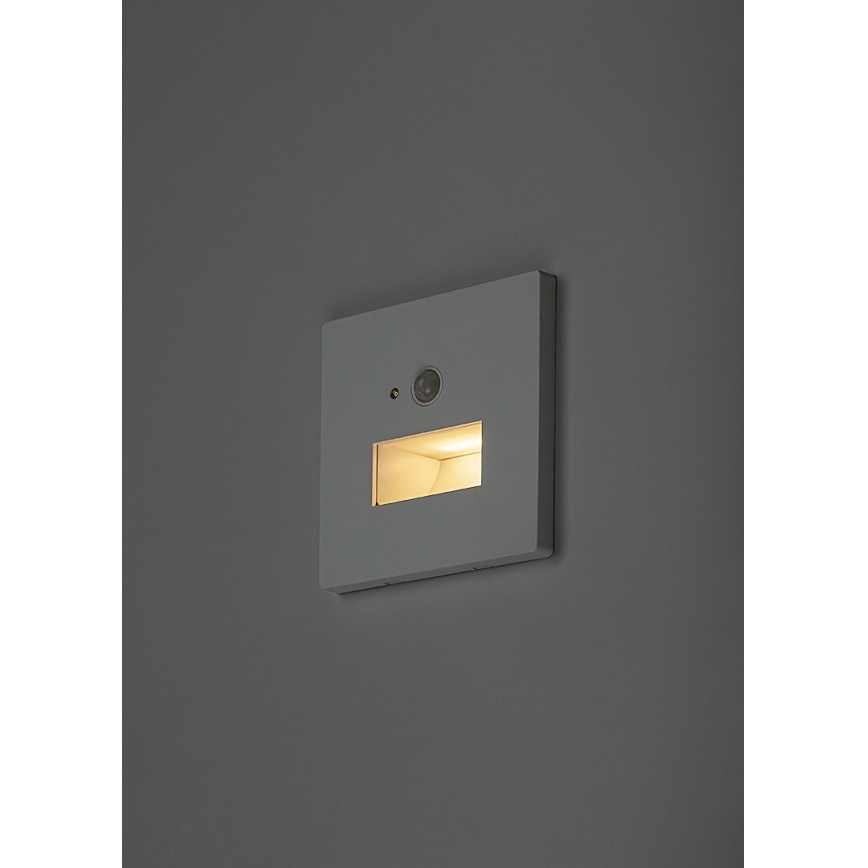 Rabalux - LED-Treppenleuchte mit Bewegungs- und Dämmerungssensor LED/1W/230V 3000/4500/6500K weiß