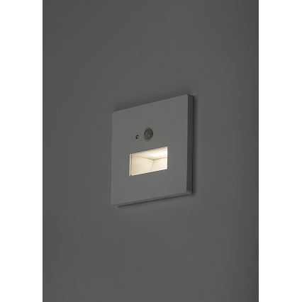 Rabalux - LED-Treppenleuchte mit Bewegungs- und Dämmerungssensor LED/1W/230V 3000/4500/6500K weiß