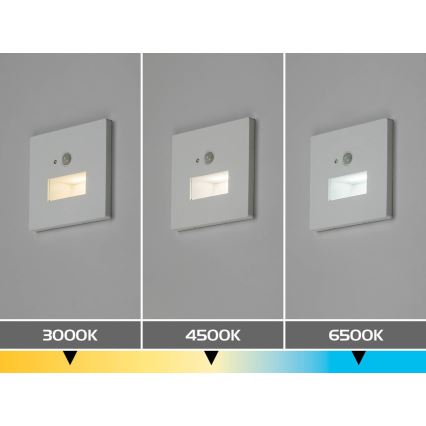 Rabalux - LED-Treppenleuchte mit Bewegungs- und Dämmerungssensor LED/1W/230V 3000/4500/6500K weiß