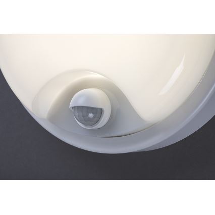 Rabalux - LED Außenwandleuchte mit Sensor LED/18W/230V IP65 weiß