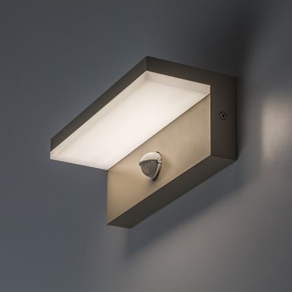 Rabalux - LED Außenwandleuchte mit Sensor LED/9W/230V IP54 beige