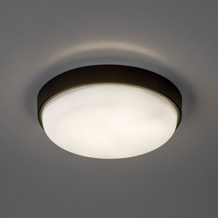 Rabalux - LED Außen-Deckenleuchte LED/14W/230V IP54 schwarz