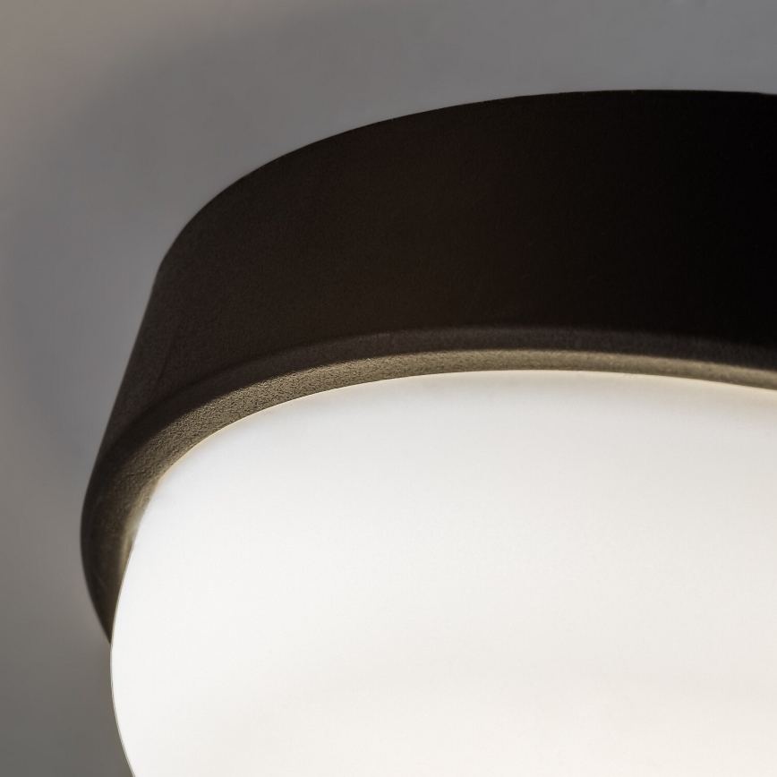 Rabalux - LED Außen-Deckenleuchte LED/14W/230V IP54 schwarz