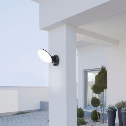 Rabalux 8135 - LED Außen-Wandleuchte mit Sensor VARNA LED/12W/230V IP54