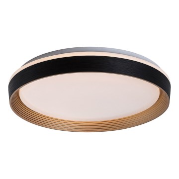 Rabalux - Dimmbare LED-Deckenleuchte LED/48W/230V 3000-6500K + Fernbedienung