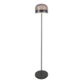 Rabalux - Dimmbare LED-Stehleuchte LED/20W/230V 3000/4000/6000K