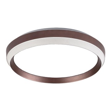 Rabalux - Ersatzteil für die Deckenleuchte FONTANA