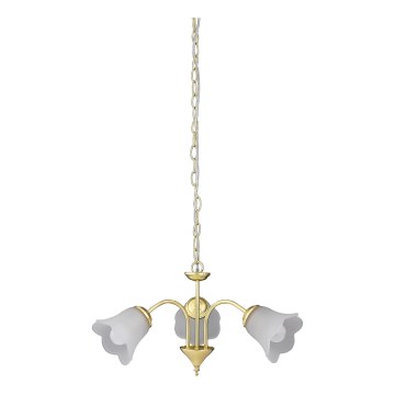 Rabalux - Kronleuchter auf der Kette 3xE14/40W/230V