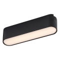 Rabalux - LED-Deckenleuchte für 1-Phasen-Schienensystem LED/6W/230V 3000K 11,5 cm schwarz