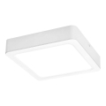 Rabalux - LED-Deckenleuchte LED/18W/230V 17x17 cm