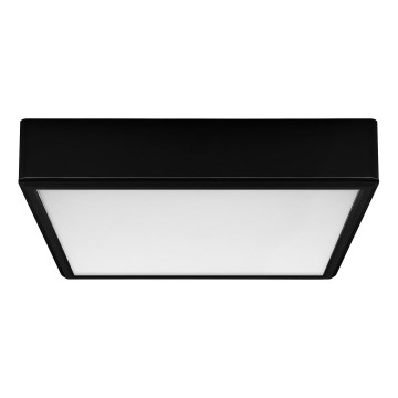 Rabalux - LED-Deckenleuchte LED/22W/230V 3000/4000/6000K 21x21 cm schwarz