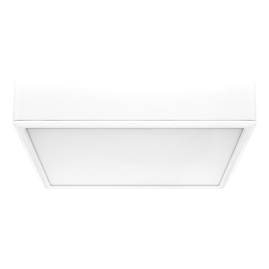Rabalux - LED-Deckenleuchte LED/22W/230V 3000/4000/6000K 21x21 cm weiß