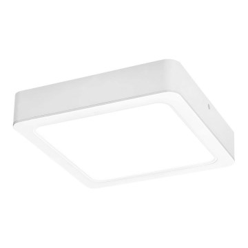 Rabalux - LED-Deckenleuchte LED/24W/230V 22x22 cm