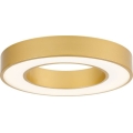 Rabalux - LED-Deckenleuchte LED/24W/230V 3000/4000/6500K Ø 40 cm goldfarben
