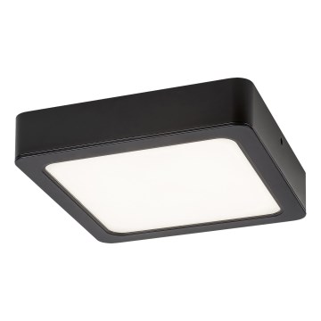 Rabalux - LED-Deckenleuchte LED/24W/230V 4000K 22x22 cm schwarz