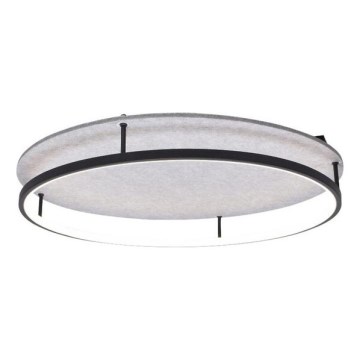 Rabalux - LED-Deckenleuchte LED/40W/230V 3000/4000K Ø 57,5 cm