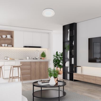 Rabalux - LED dimmbares Deckenleuchte LED/38W/230V 3000-6500K Weiß + Fernbedienung Ø 48 cm