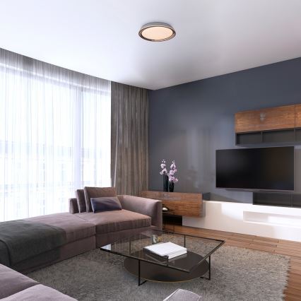 Rabalux - LED Dimmbare Deckenleuchte LED/36W/230V