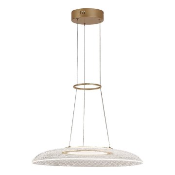 Rabalux - LED-Hängeleuchte an Kabel LED/24W/230V 3000K