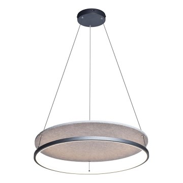 Rabalux - LED Hängeleuchte an Seil LED/40W/230V 3000/4000K