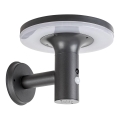 Rabalux - LED-Solarleuchte mit Sensor LED/10W/3,7V IP44