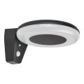 Rabalux - LED-Solarleuchte mit Sensor LED/4W/3,7V IP44